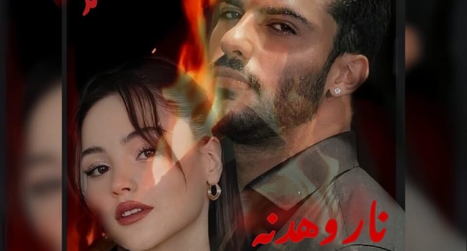 مقدمة روايه نار وهدنه